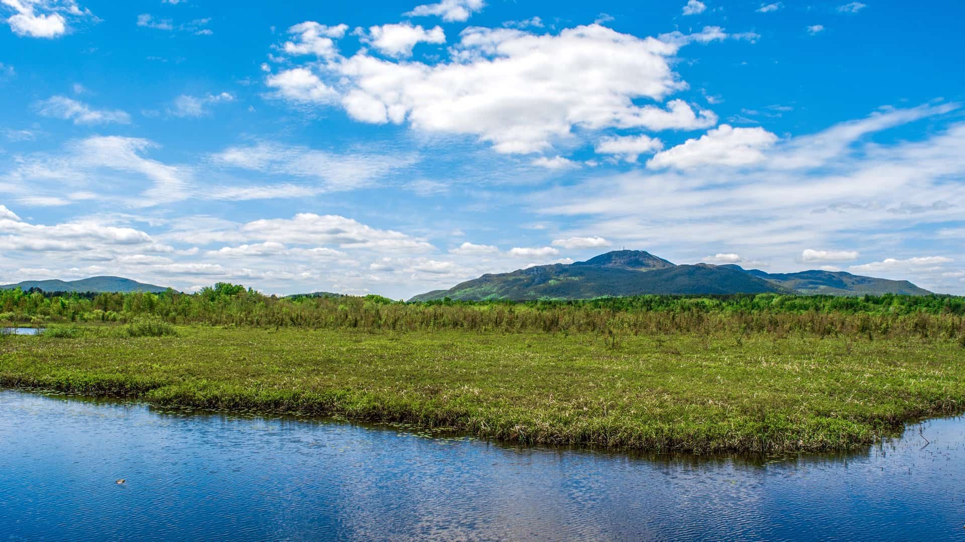 Marais de la Rivière aux Cerises Tourisme Memphremagog
