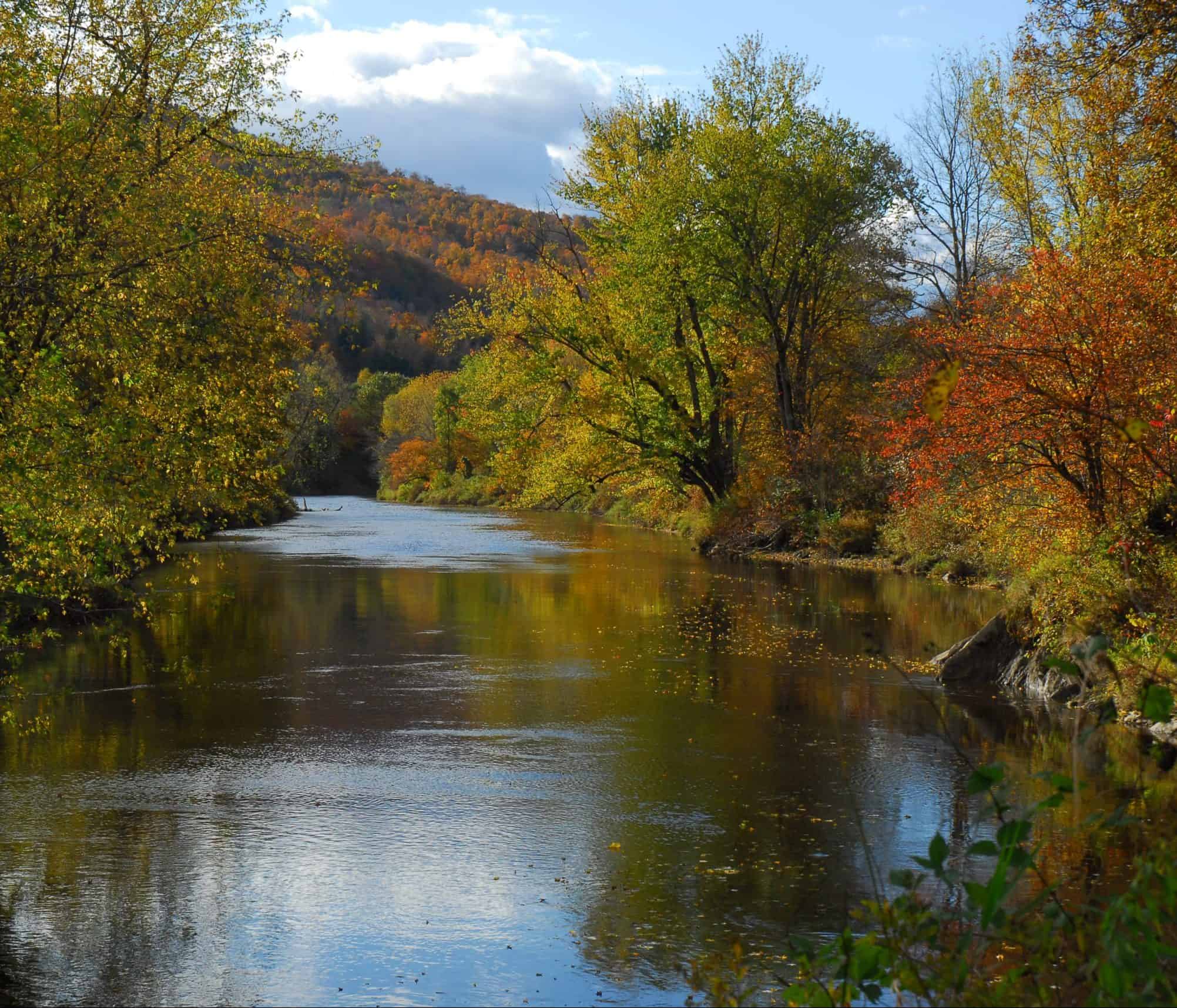 Rivière Missisquoi en automne