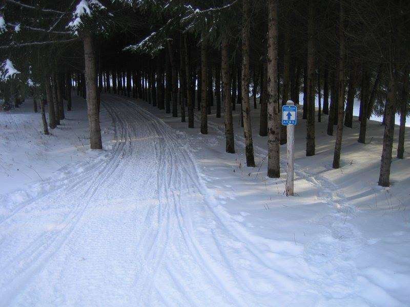 Portion du Sentier Nature Tomifobia en hiver.