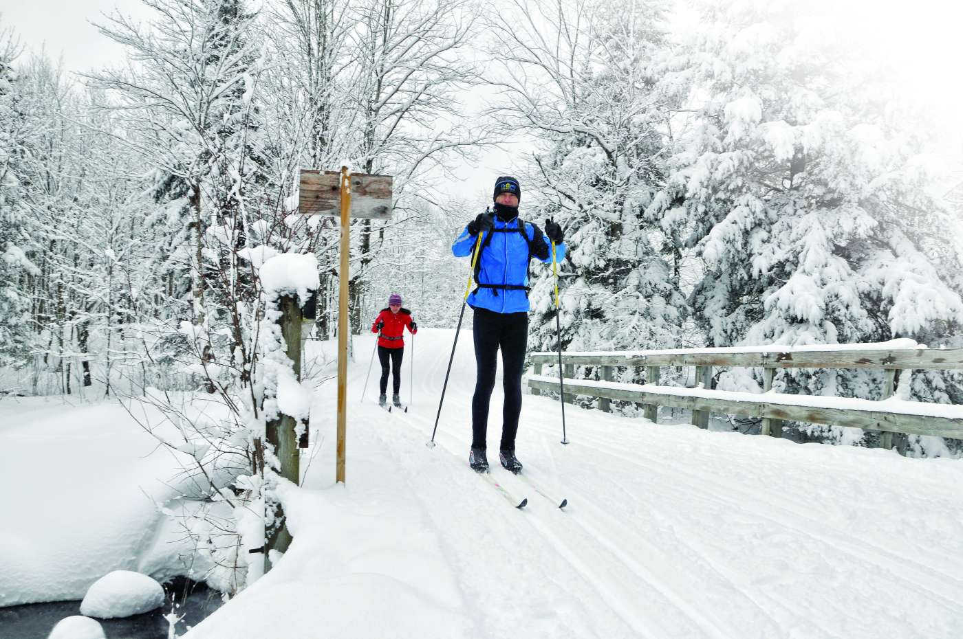 Deux personnes faisant du ski de fond dans le Parc national du Mont-Orford.