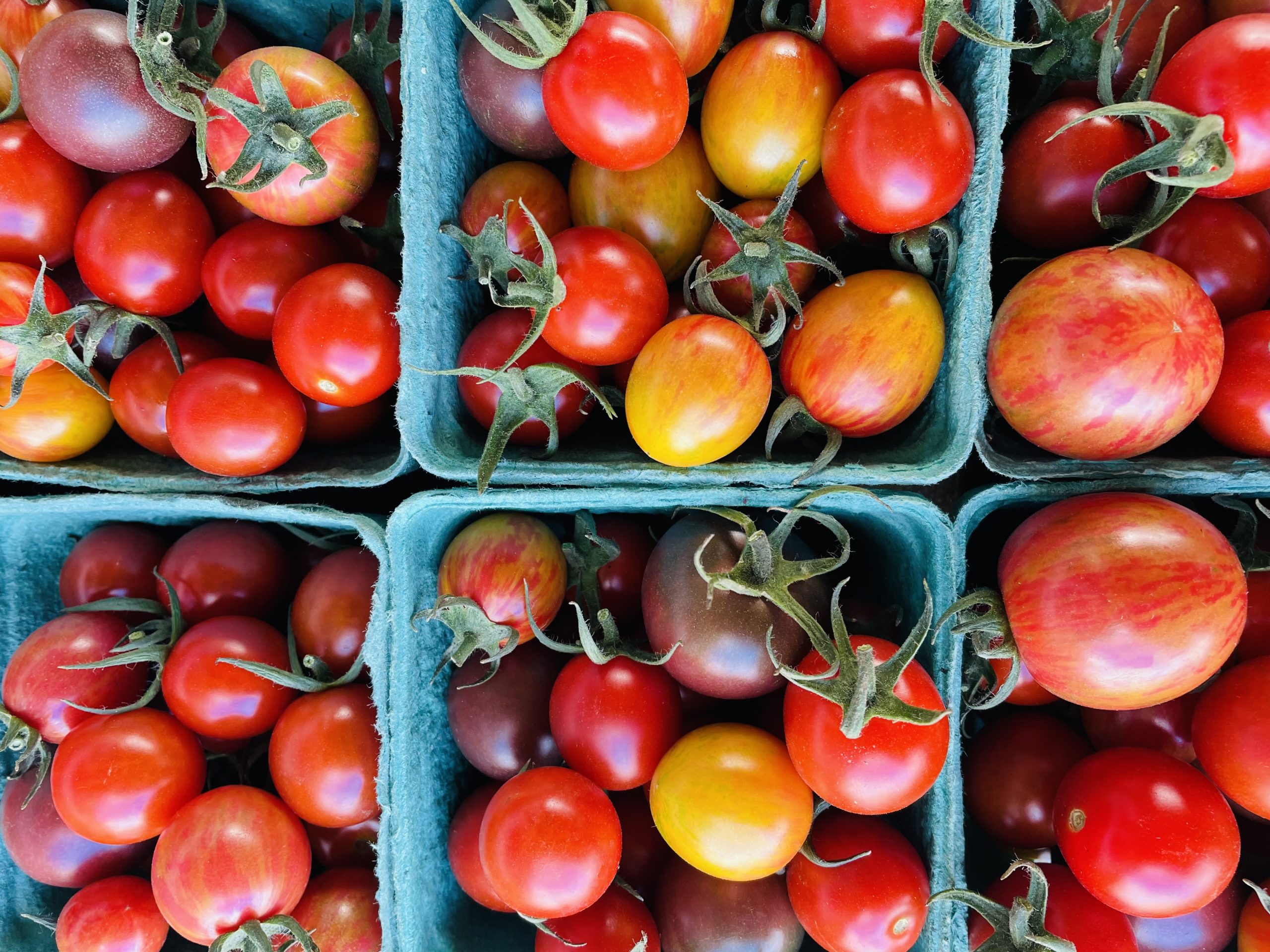 Casseaux de tomates cerises de La Ferme Potagère