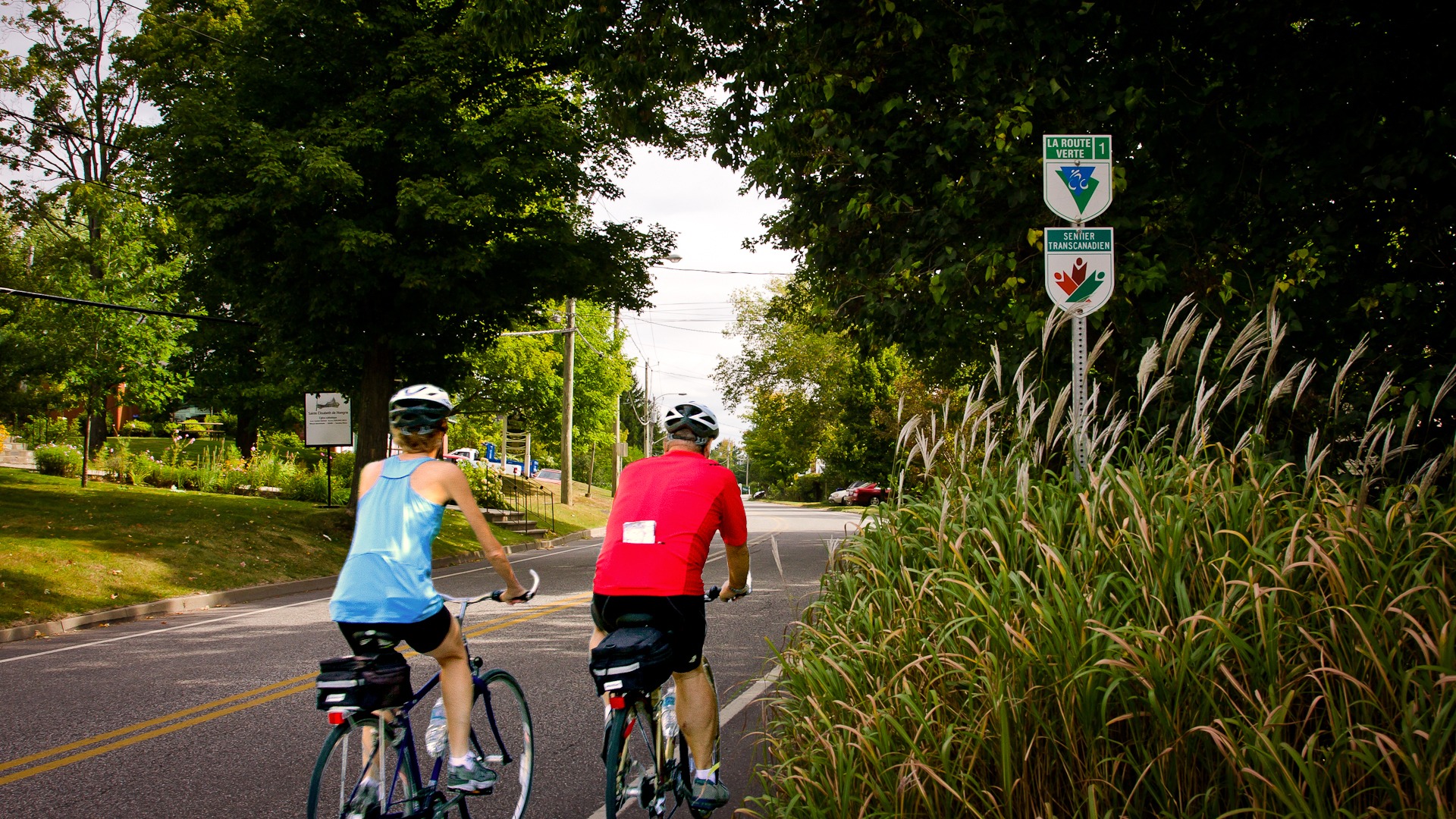 Personnes faisant du vélo sur la Route verte 1
