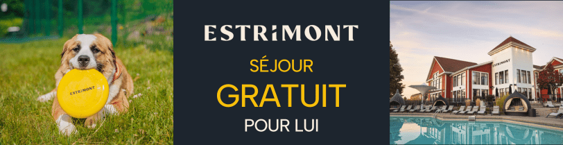 Bannière publicitaire de l'Estrimont