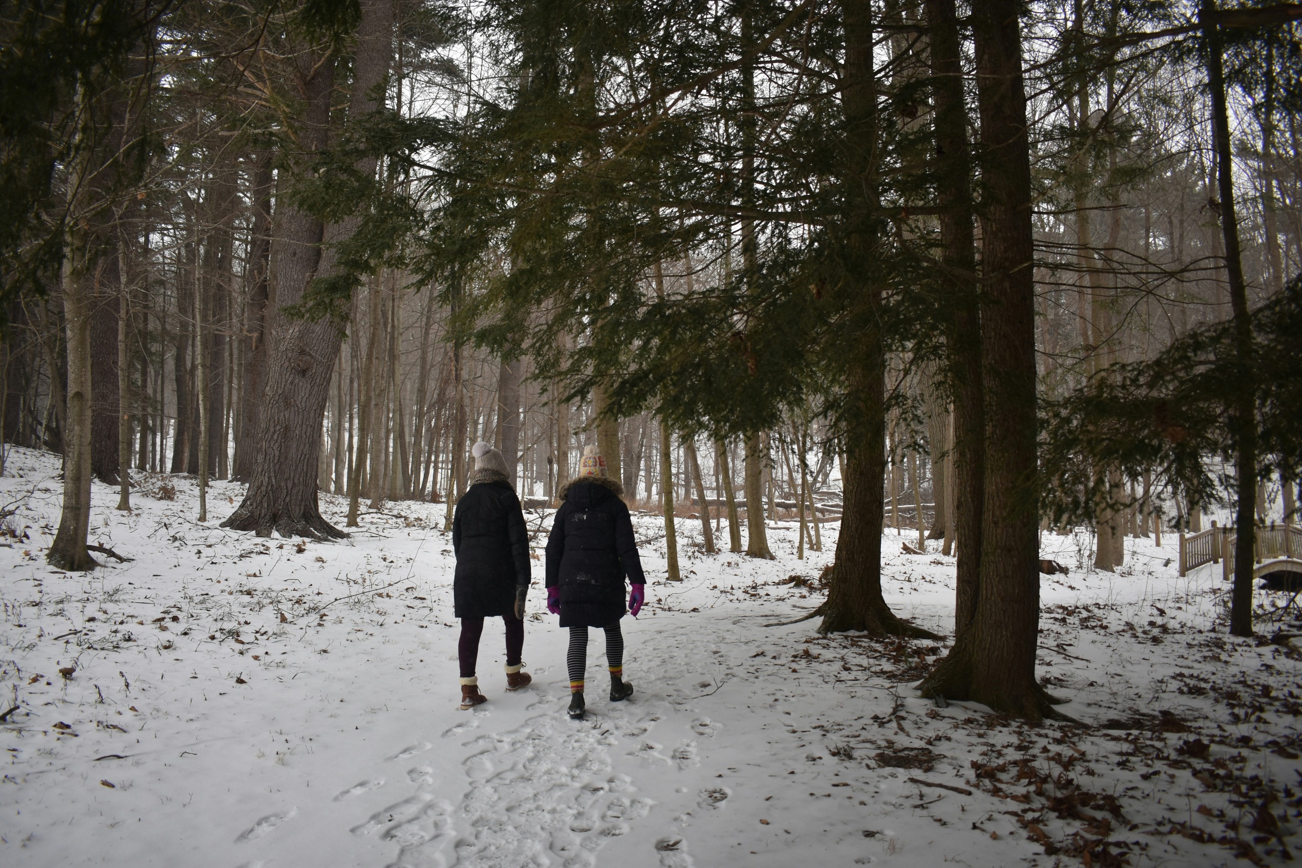 Personnes marchant dans un sentier enneigé.