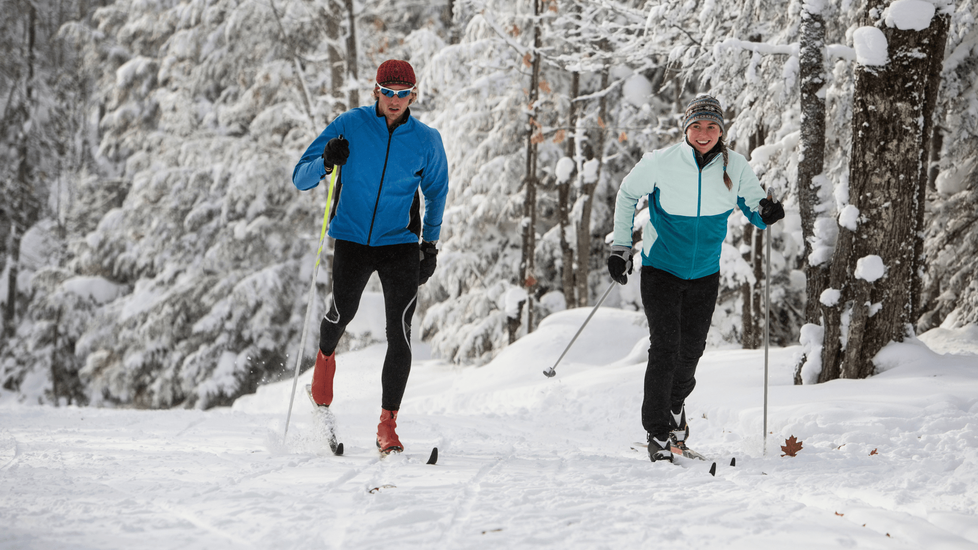 Deux personnes faisant du ski de fond.